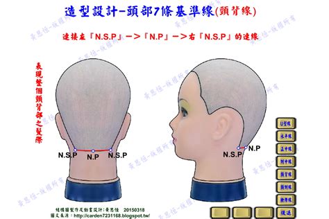 頭部七條基準線中 耳點與頸側點的連線是